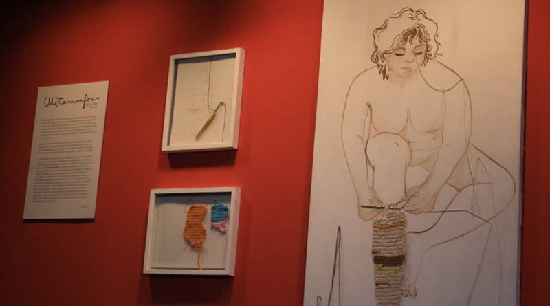 Metamorfosis: una nueva exposición en el Museo de Arte Contemporáneo