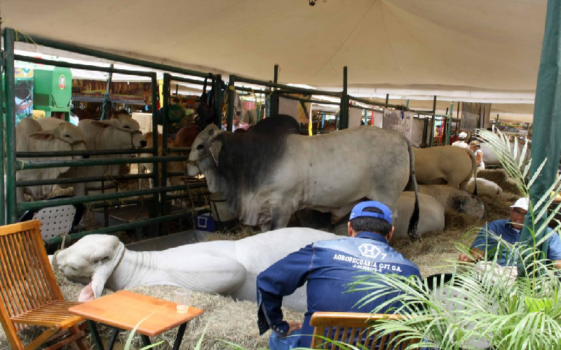 Yaracuy exhibe su potencial agropecuario en las Ferias de Mayo